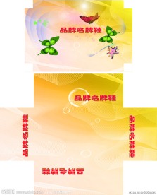 浪漫天堂鞋盒包装