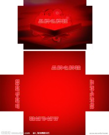 高贵精致鞋盒包装设计
