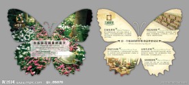 蝴蝶DM