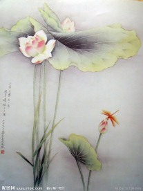 国画 荷花