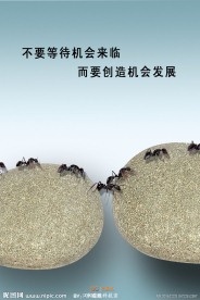 企业 公司展板