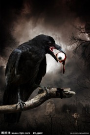 嘴刁眼珠的恐怖老鹰