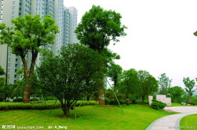 2009公园绿化金奖拱墅区后横港公园