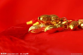 金花生
