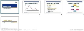 王秀军 2010中国互联网大会