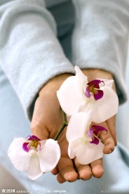 手捧兰花的女人