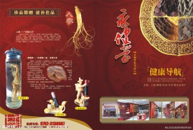 参茸DM单