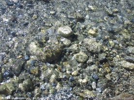 石头 河水
