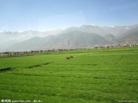 田地