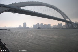 卢浦大桥