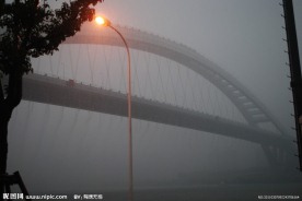 卢浦大桥