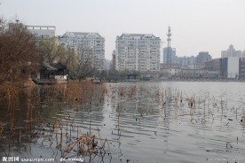 濠河风景