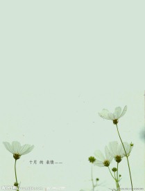 本本内页
