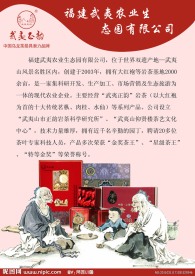 茶叶宣传单
