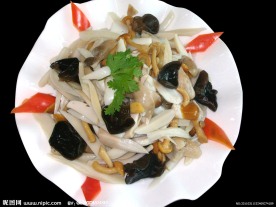 美食欣赏