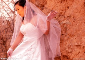 婚纱样板