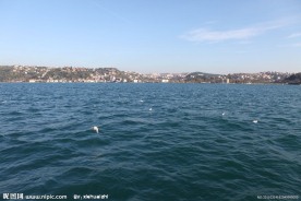 海鸥与大海