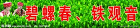 茶店
