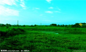 绝美乡村中的小沼泽与河