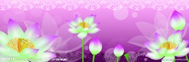 花卉无框画