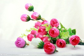 小红花