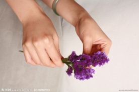香草之后 薰衣草