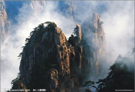 高山云雾