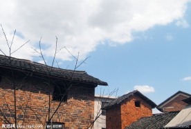 农村风景