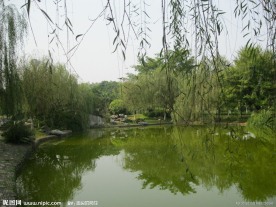 悠悠