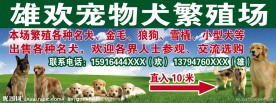 宠物犬繁殖场海报