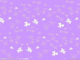白色小花图
