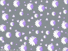 紫色小花图