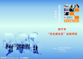 申报表封面