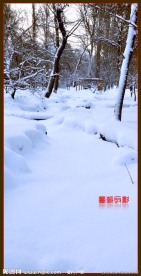 雪韵