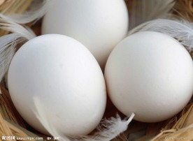 鸡蛋