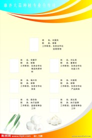合作社组织机构制度