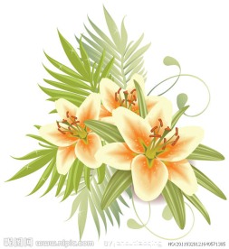 百合花矢量素材