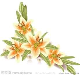 百合花矢量素材