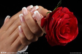 美甲 玫瑰花