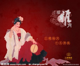 月饼 包装