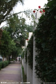路边