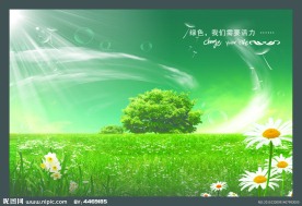 草原风景