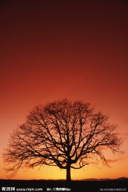 夕照