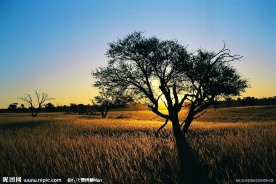 背光夕阳