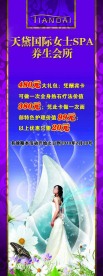 美容院X展架