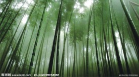 旅游摄影