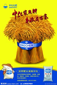 化肥传单（分层不细）