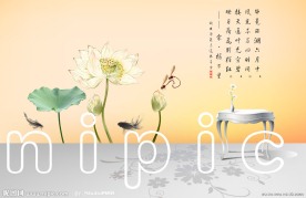 荷花 墙绘