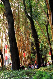 竹林茶座