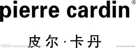 皮尔卡丹 商标 logo 皮革